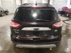 2013 Ford Escape Sel for Sale in Avon, MN - All Over