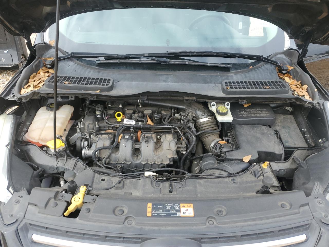 2015 Ford Escape - Image 13