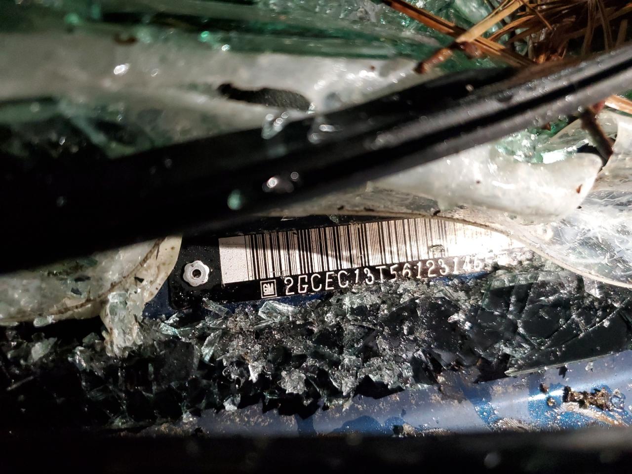 2006 Chevrolet Silverado C1500 VIN: 2GCEC13T561231465 Lot: 45098445