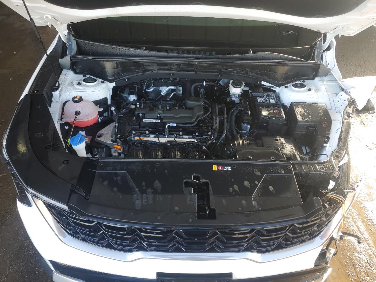 2024 Kia Sorento - Image 12