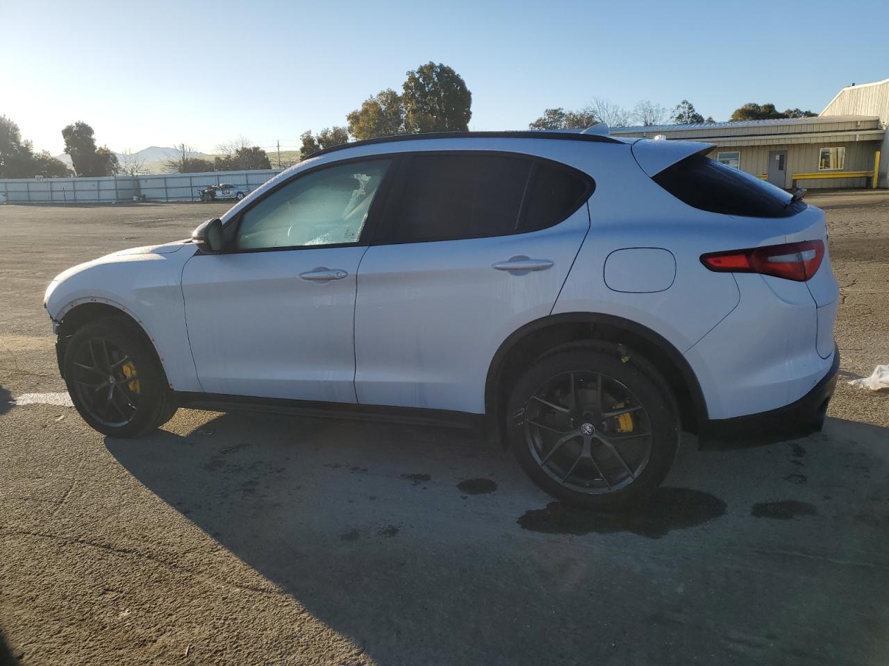 2020 Alfa Romeo Stelvio - Image 2