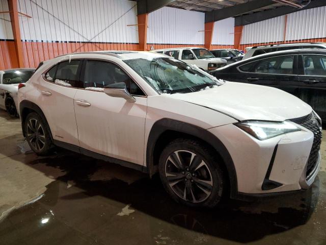 2020 LEXUS UX 250H