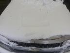 2004 Chevrolet Colorado  na sprzedaż w Albany, NY - Undercarriage