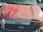 2008 Toyota Tundra Double Cab for Sale in Lawrenceburg, KY - All Over