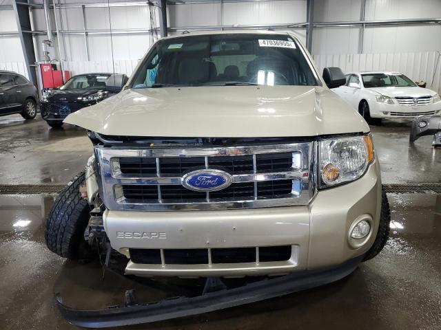  FORD ESCAPE 2012 Цвет загара