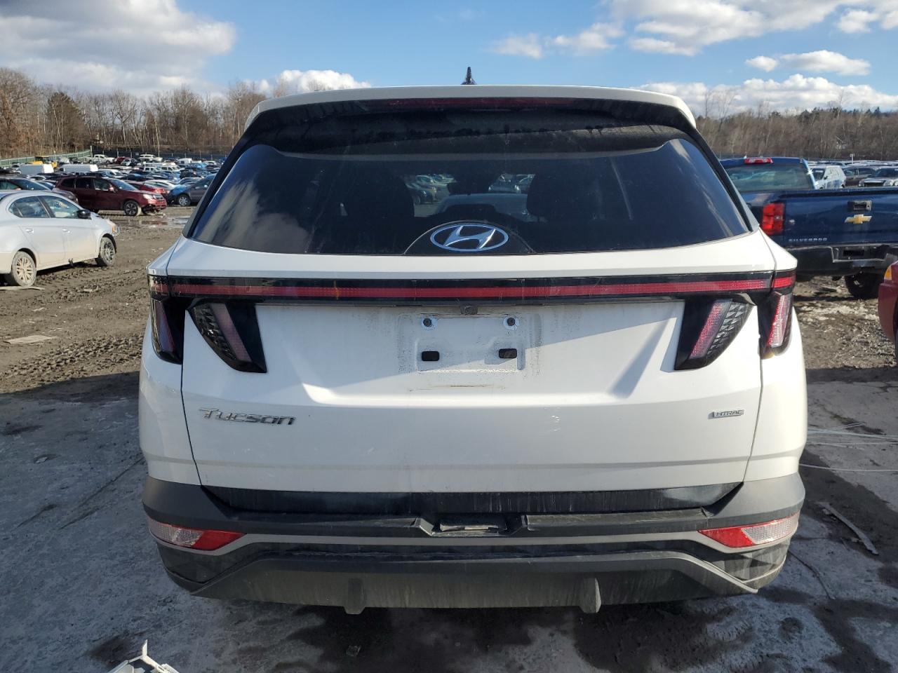 2023 Hyundai Tucson - Image 6