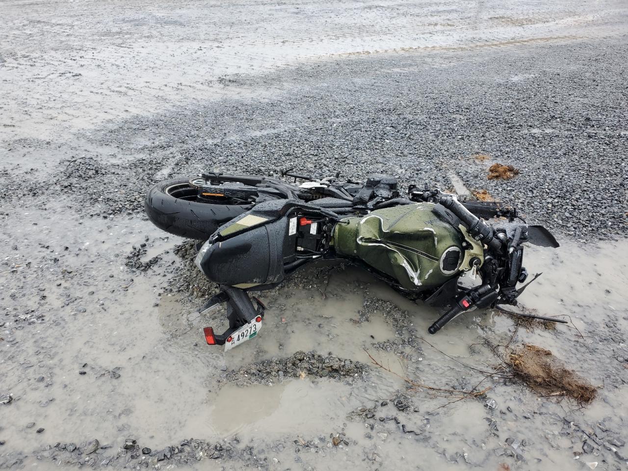 2024 Kawasaki Ex650 P