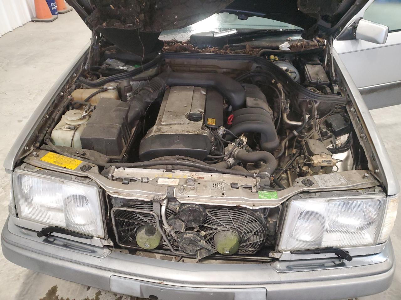 1994 Mercedes-Benz E 320 VIN: WDBEA32E9RC149336 Lot: 46066585