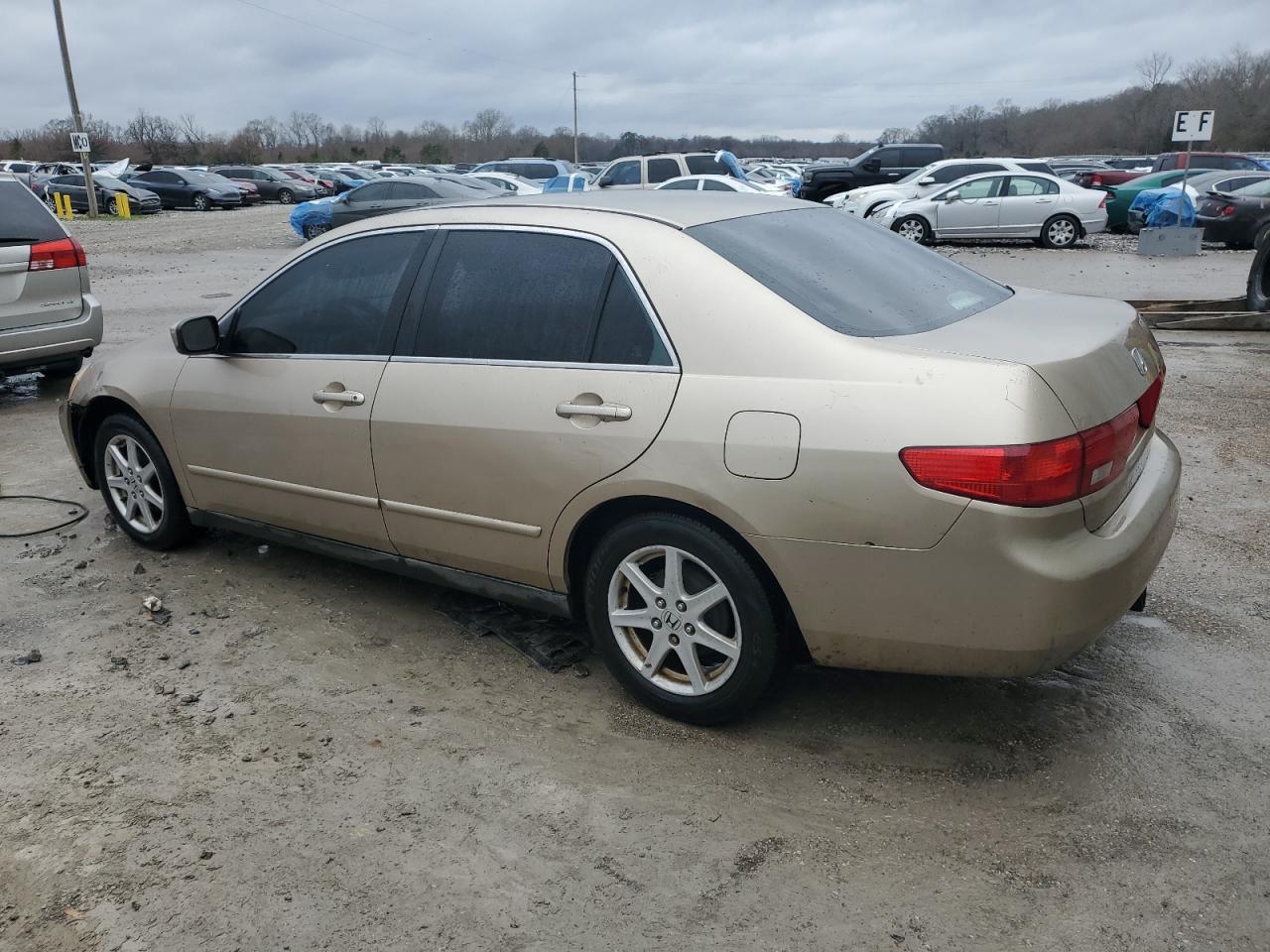 2005 Honda Accord - Image 2