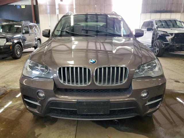 Parquets BMW X5 2013 Brązowy