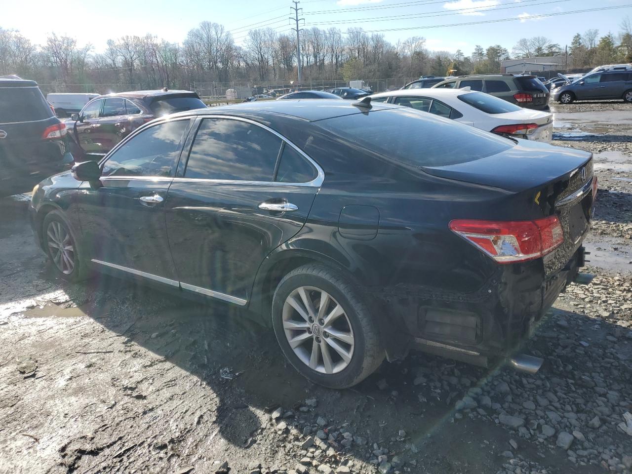 2011 Lexus ES - Image 2