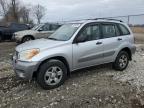 2005 Toyota Rav4  en Venta en Cicero, IN - Front End