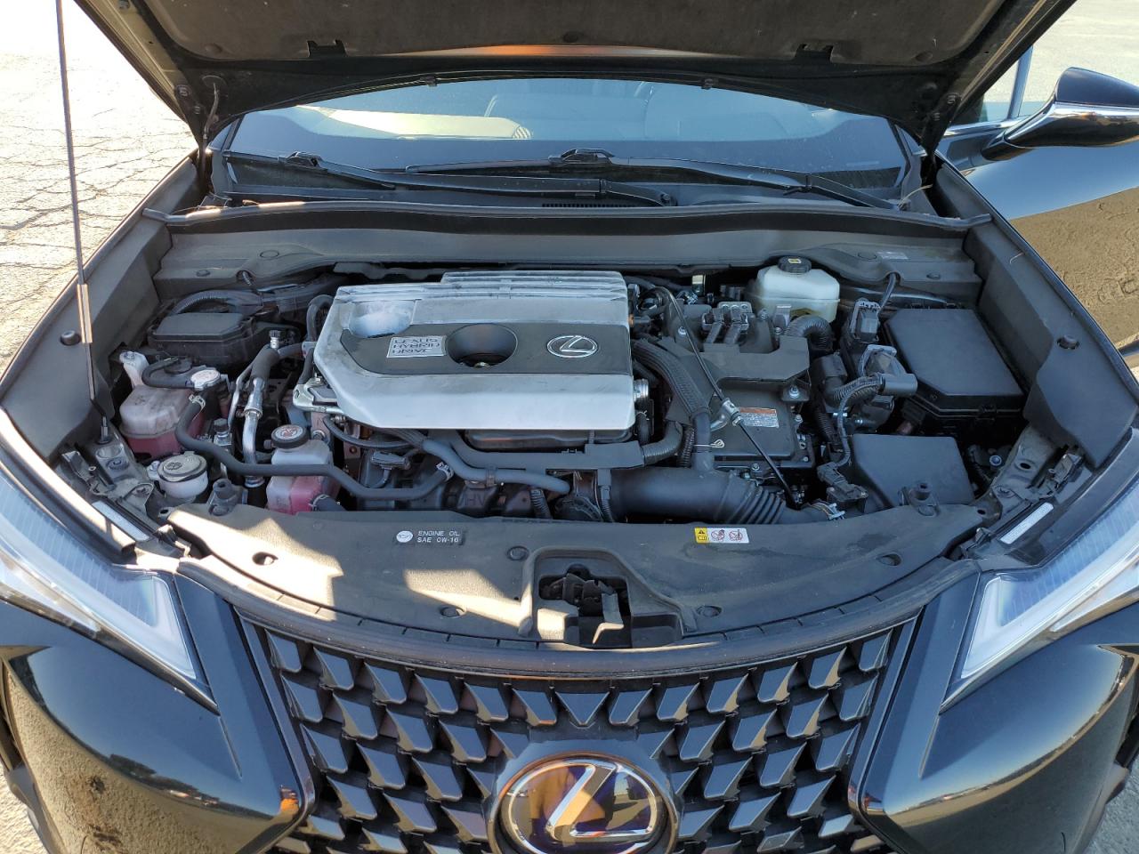 2020 Lexus UX - Image 11