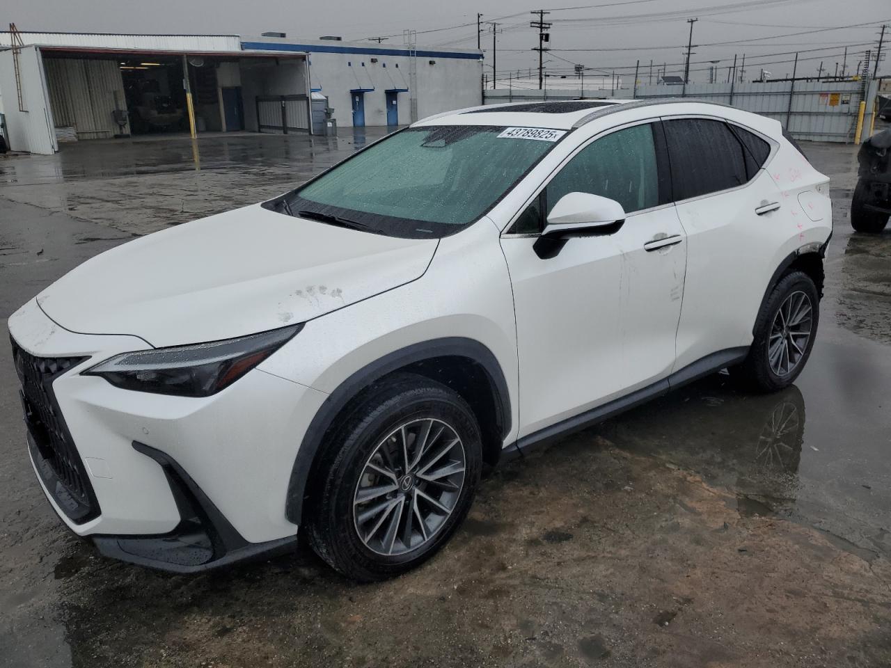 2022 Lexus NX - Image 1