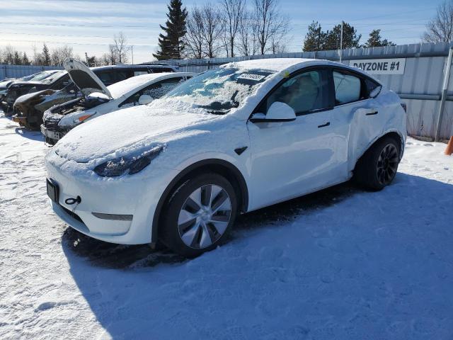 2023 TESLA MODEL Y  for sale at Copart ON - TORONTO