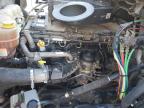 2019 Freightliner Cascadia 126  zu verkaufen in Rogersville, MO - Side