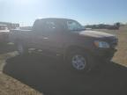 2003 Toyota Tundra Access Cab Limited იყიდება Brighton-ში, CO - Front End