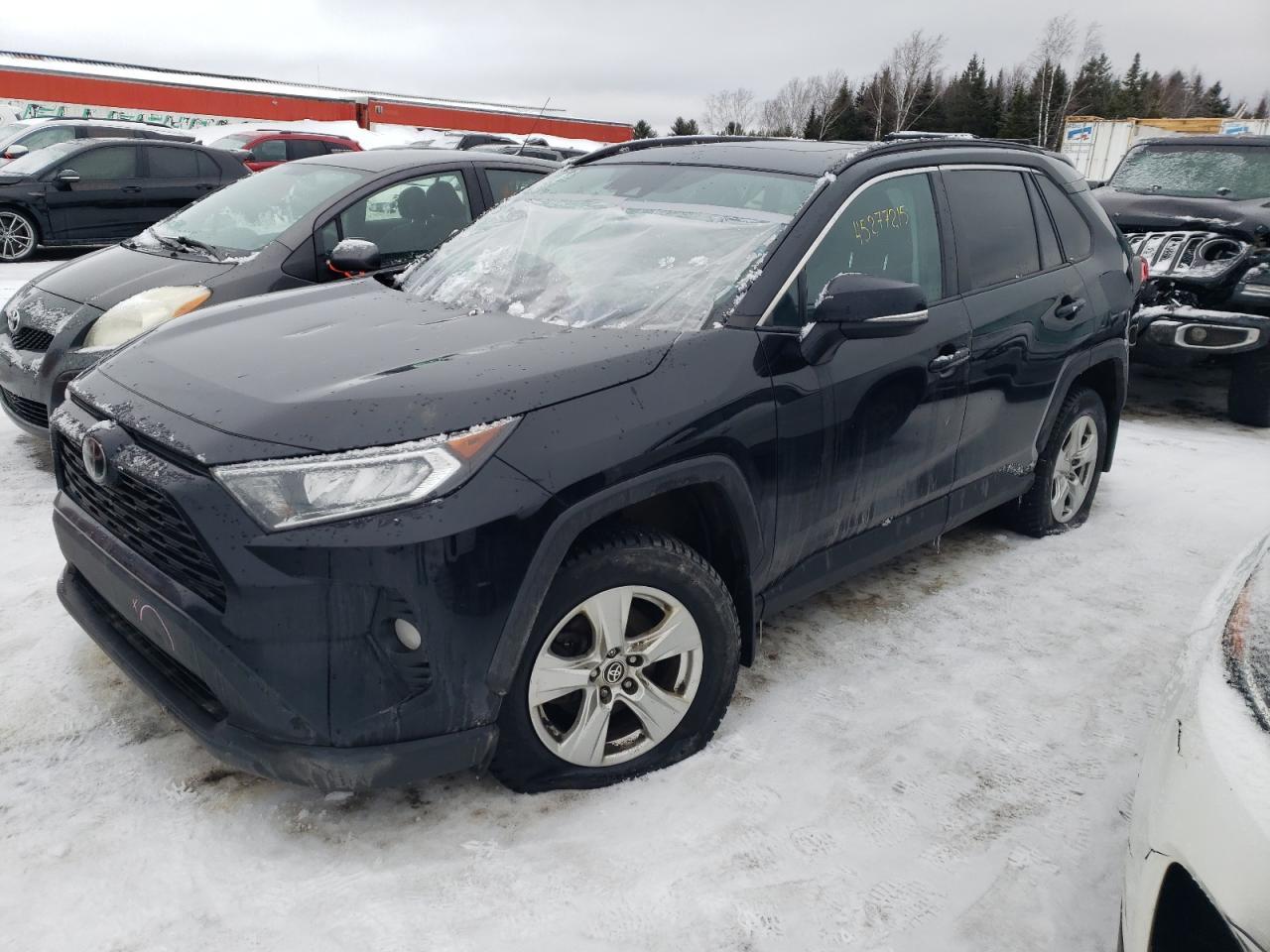 2021 Toyota Rav4 Xle იყიდება Montreal-est-ში, QC - Front End