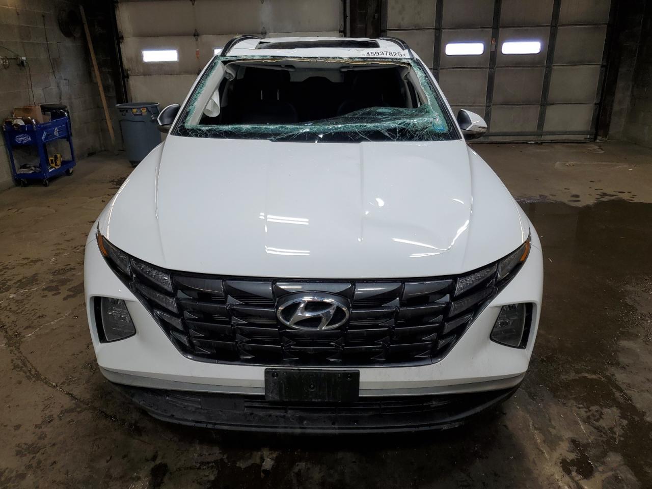 2024 Hyundai Tucson - Image 5