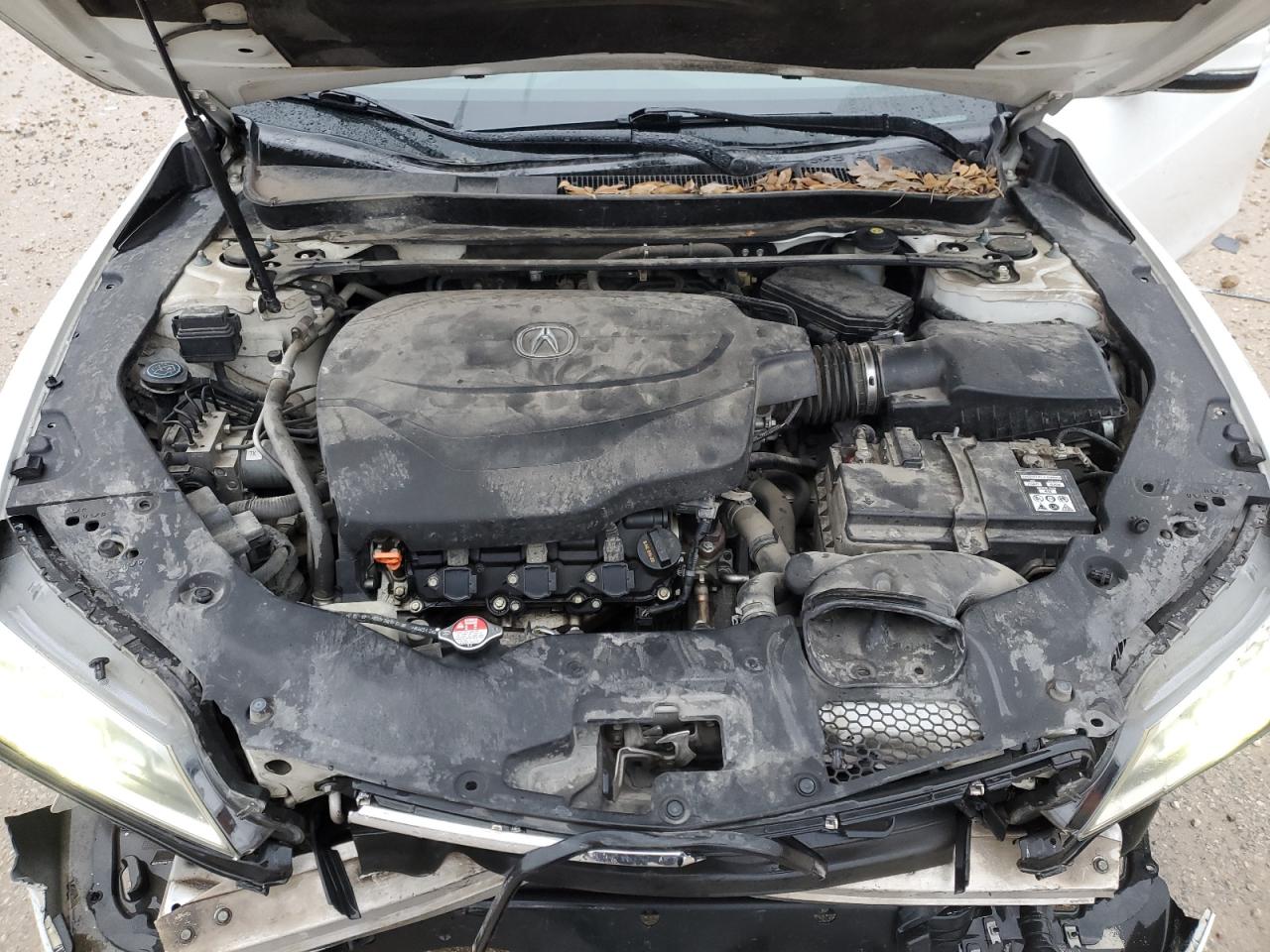 2015 Acura TLX - Image 13