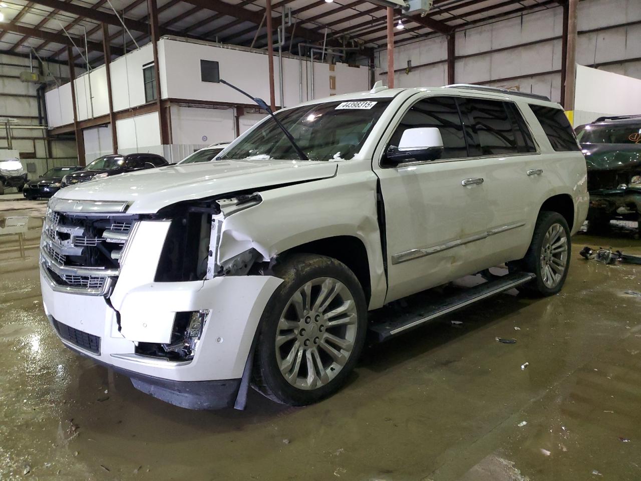 2017 Cadillac Escalade Premium Luxury للبيع في Lawrenceburg، KY - Front End