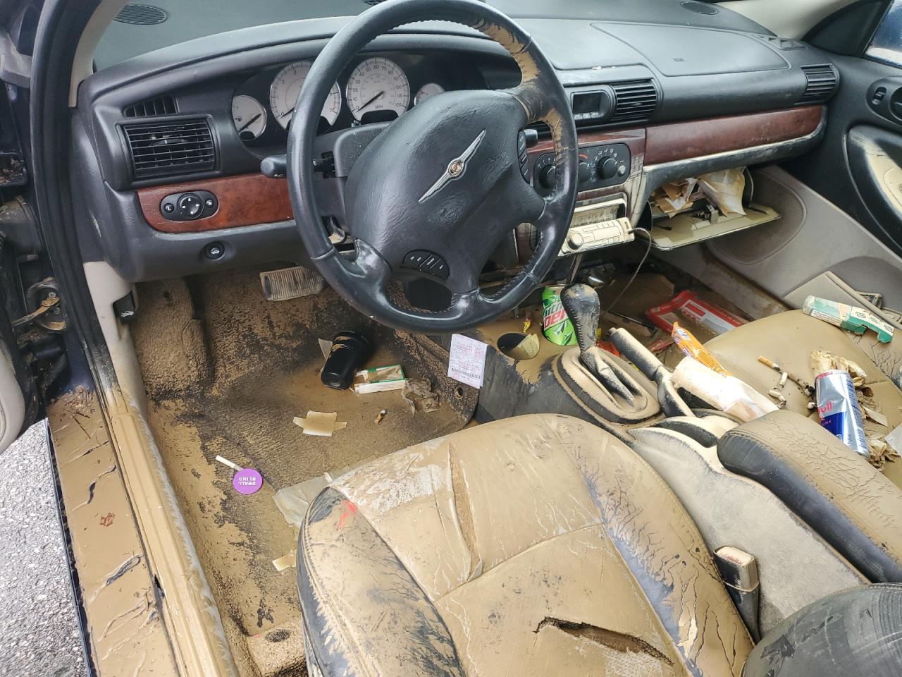 2005 Chrysler Sebring Special VIN: 1C3AL36R25N645847 Lot: 44513105