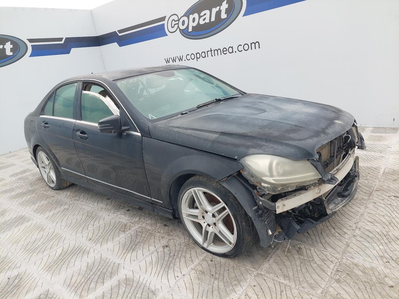 WDDGF8AB0EA957666 - 2014 Mercedes Benz C 300 - #45819275