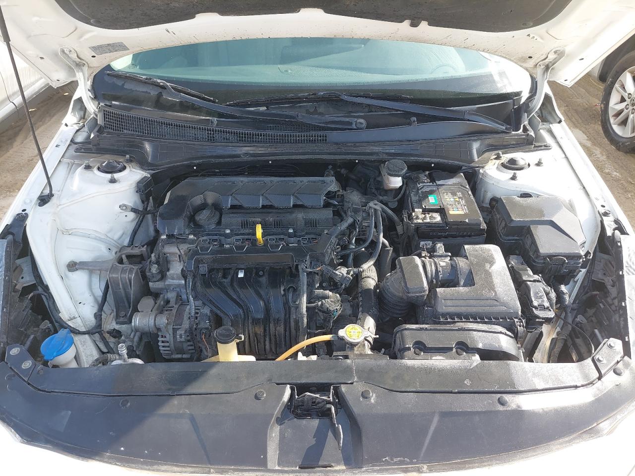 KMHLR41EENU293612 - 2022 Hyundai AVANTE - #44279345