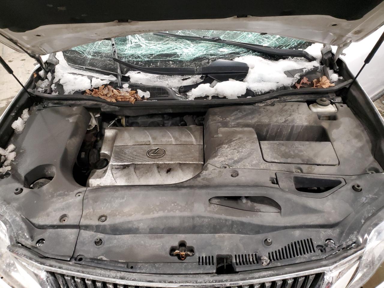 2010 Lexus RX - Image 12