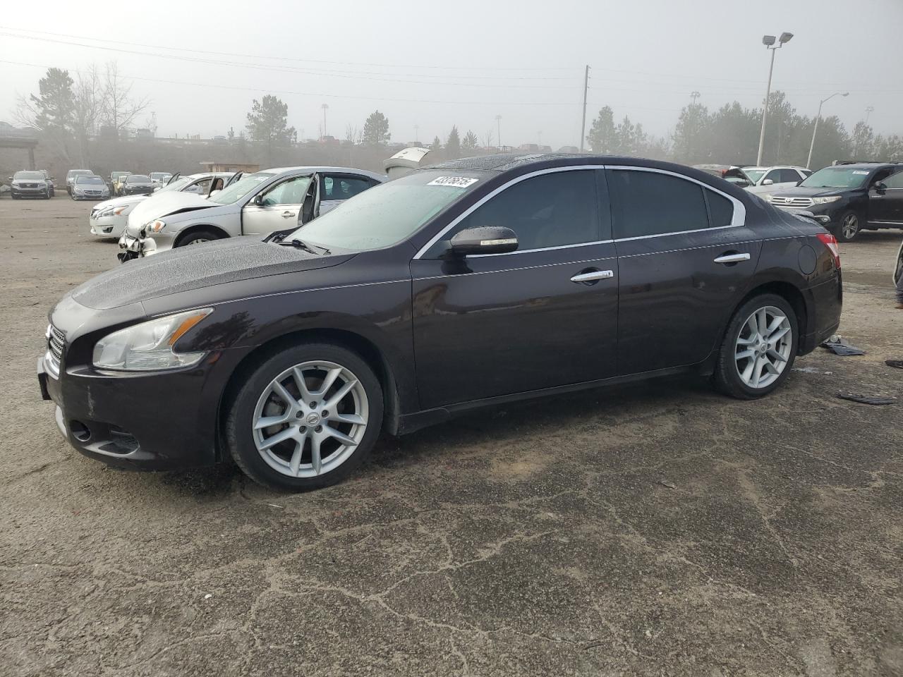 2010 Nissan Maxima - Image 1