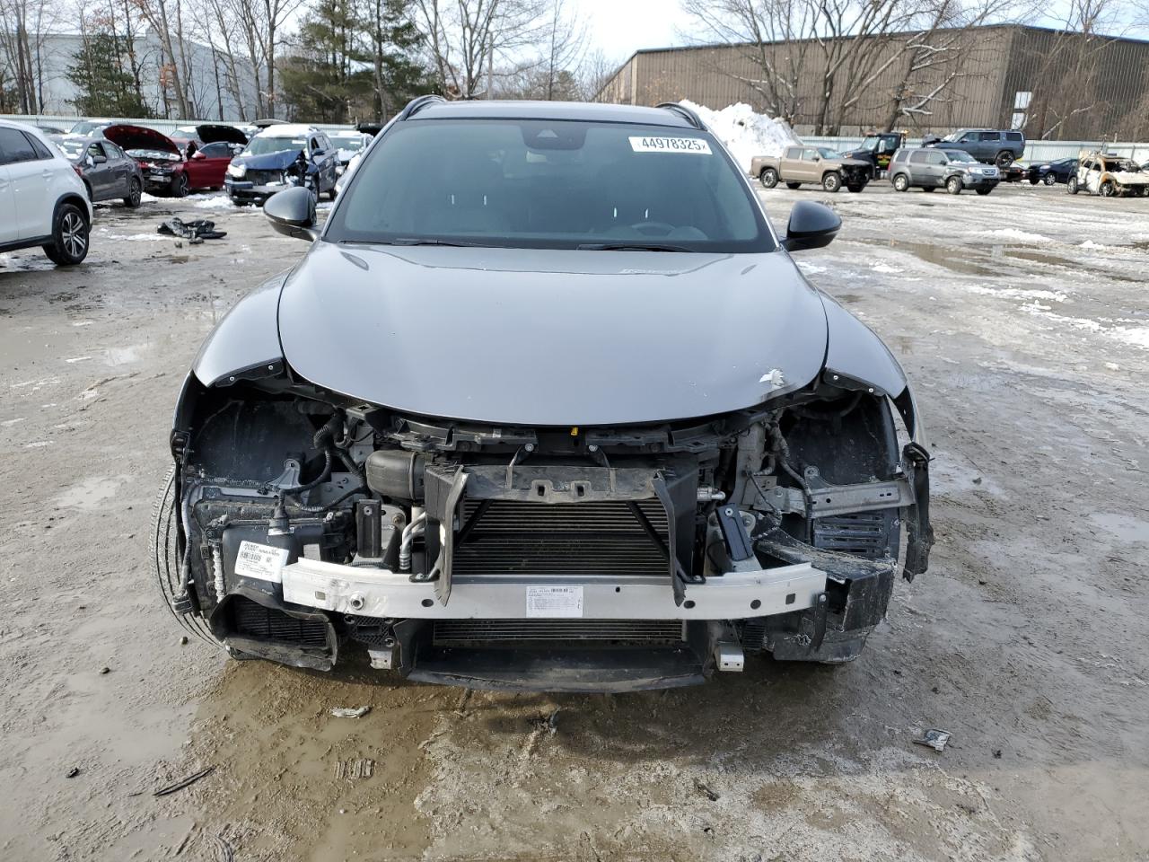 2019 Alfa Romeo Stelvio - Image 5