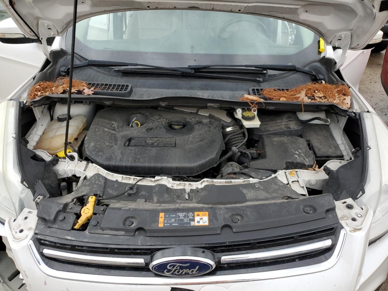 2013 Ford Escape - Image 12