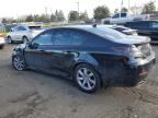 2013 Acura Tl Tech en Venta en Denver, CO - Biohazard/Chemical