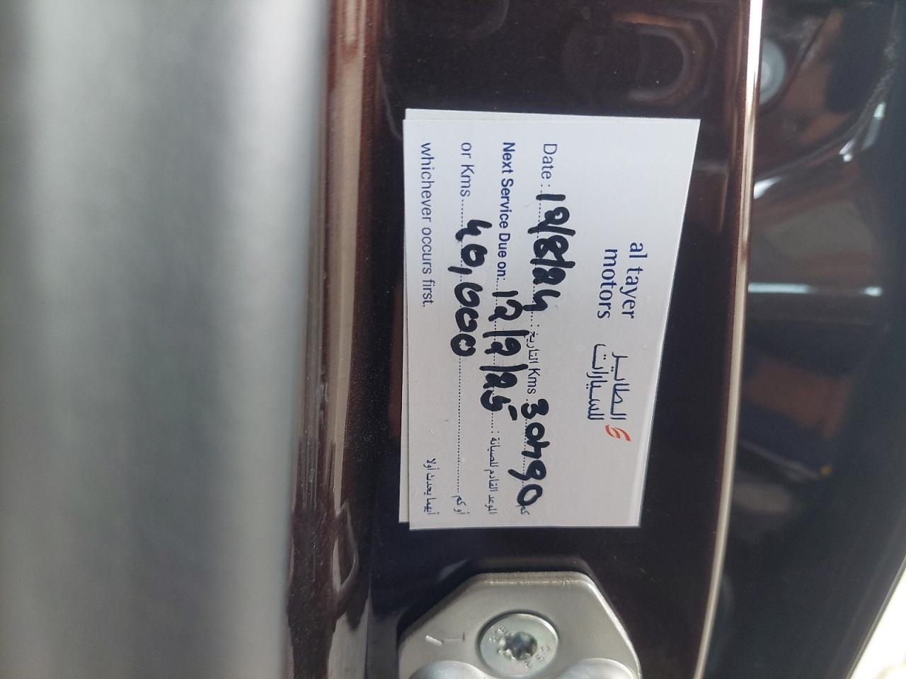 LJXCU3BB1RTF19611 - 2024 Ford TERRITORY - #47146905