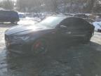 2024 Acura Tlx Type S Pmc Edition for Sale in Marlboro, NY - Minor Dent/Scratches