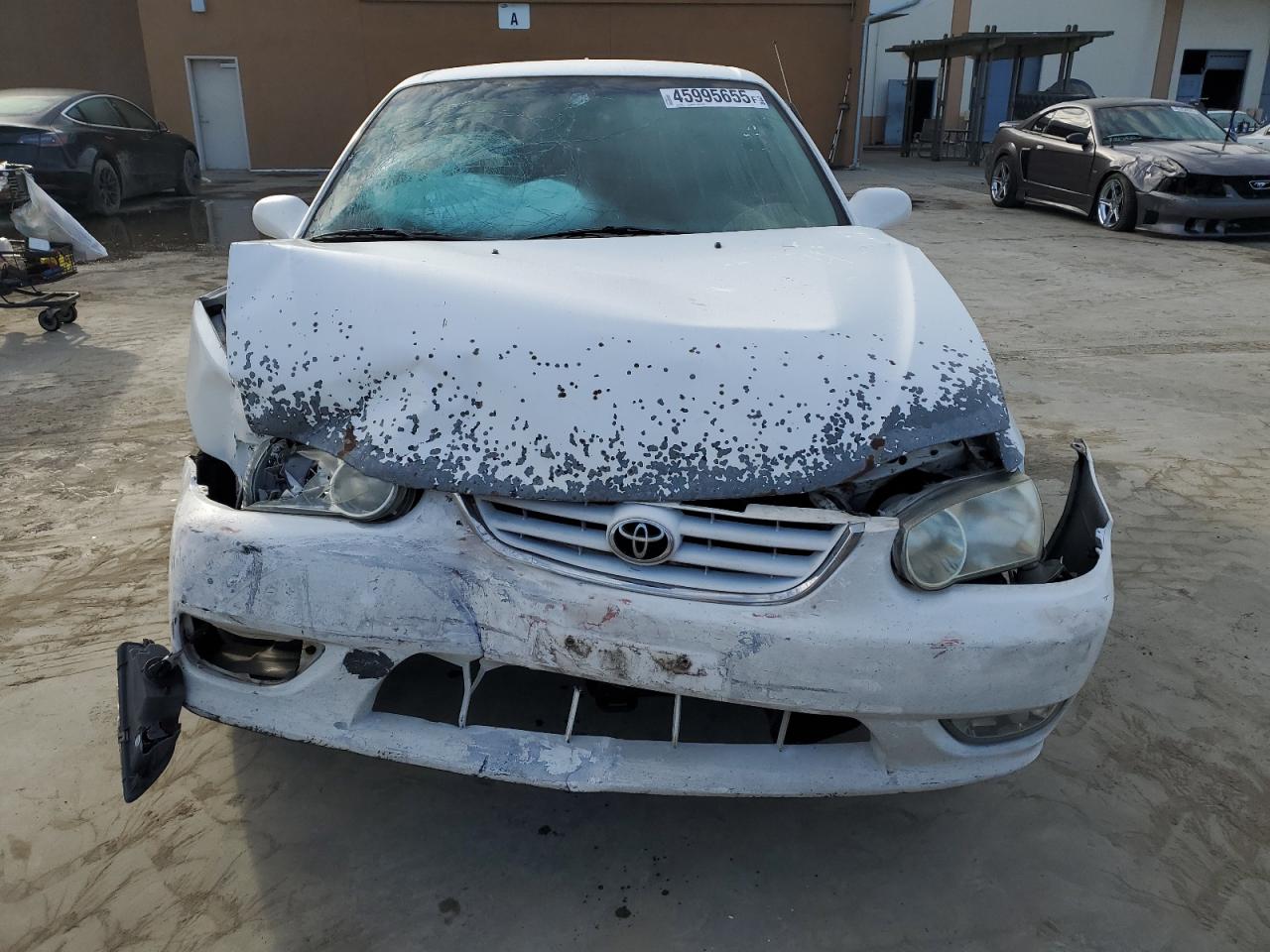 2001 Toyota Corolla - Image 5