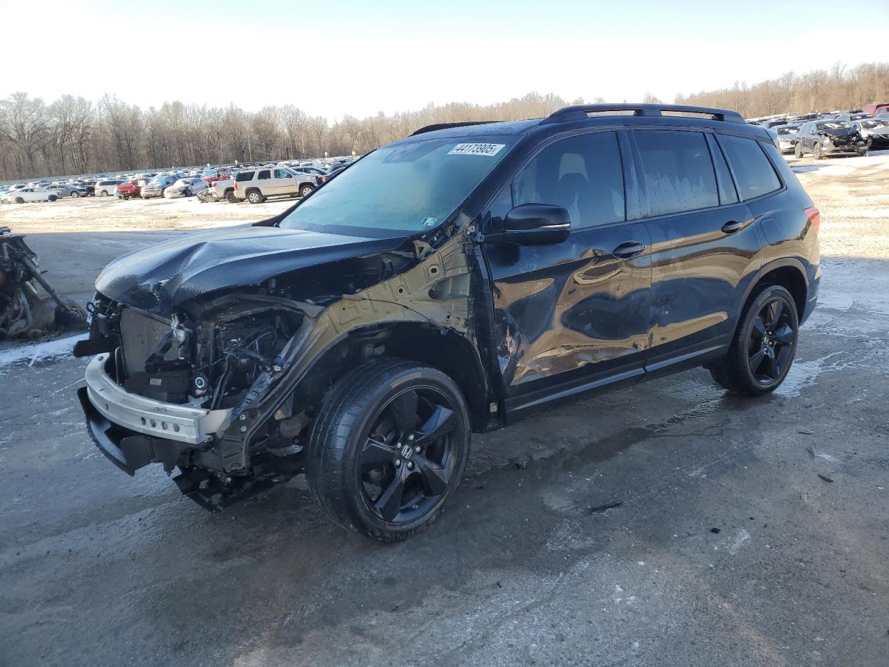 2019 Honda Passport - Image 1