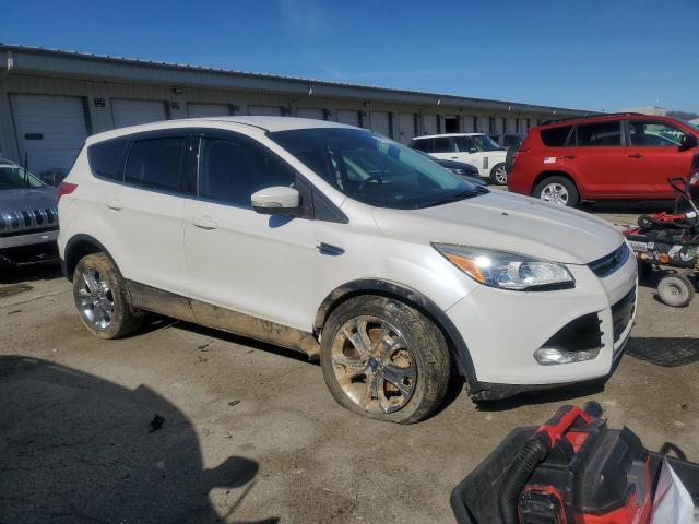  FORD ESCAPE 2013 White