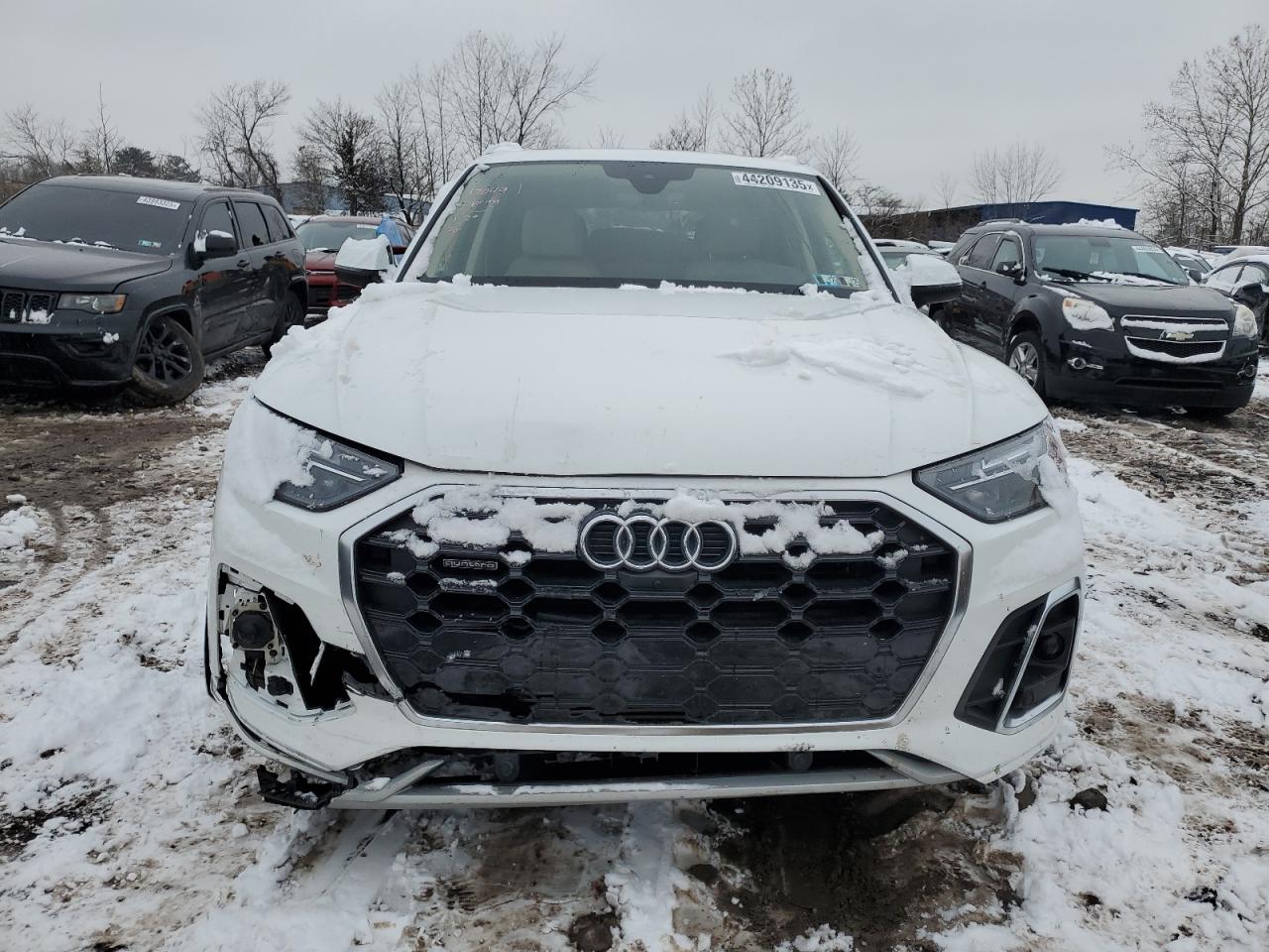 2023 Audi Q5 - Image 5