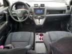 2010 Honda Cr-V Lx for Sale in Mendon, MA - Front End