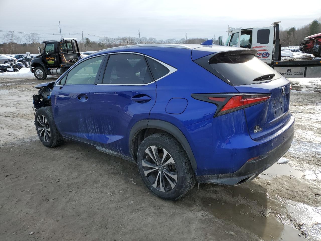 2019 Lexus NX - Image 2