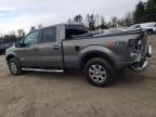 2014 Ford F150 Supercrew იყიდება Finksburg-ში, MD - Rear End