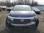 2023 Honda Odyssey Exl for Sale in Windsor, NJ - Front End