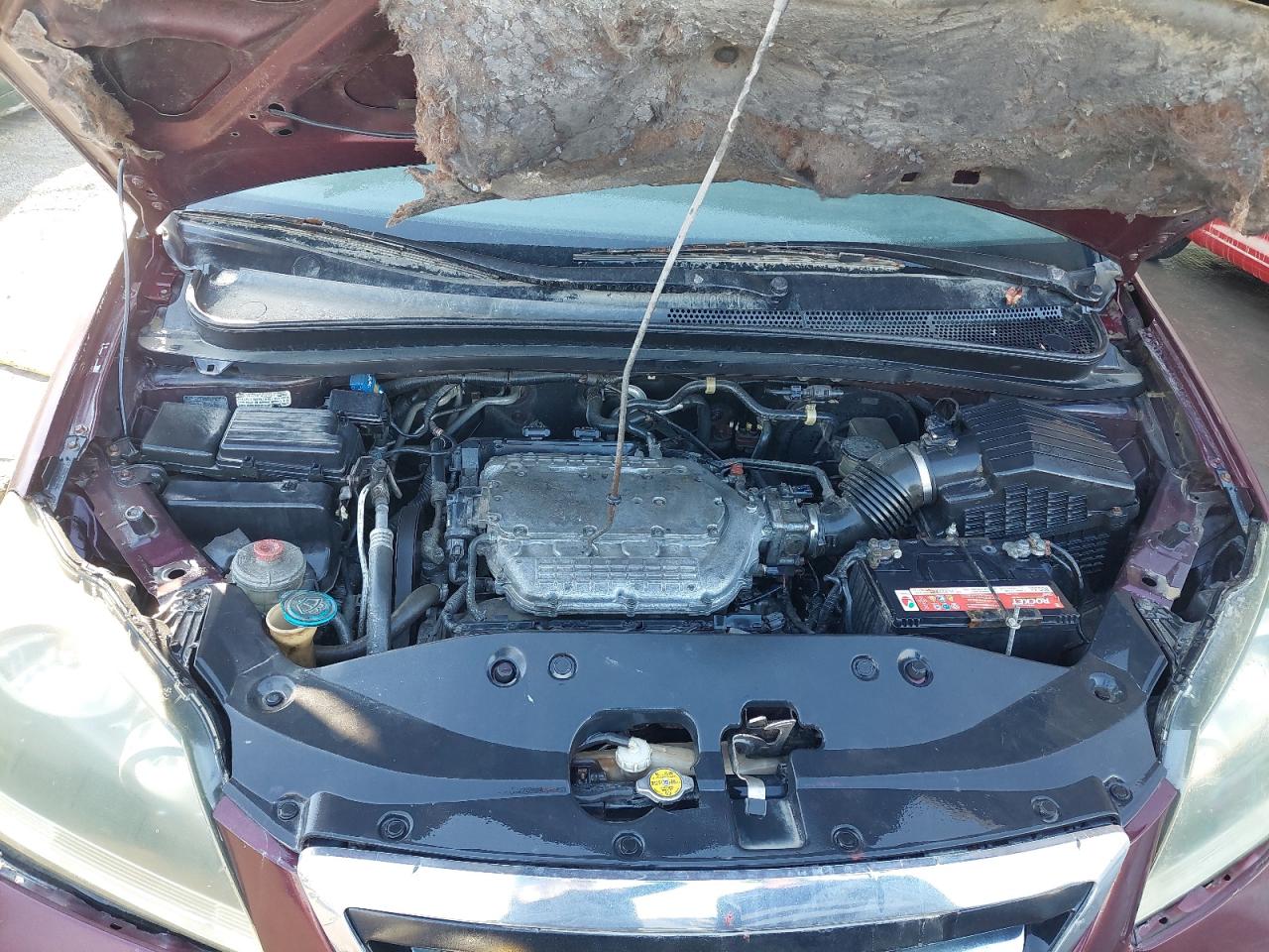 5FNRL38777B436132 - 2007 HONDA ODYSSEY - #43485645