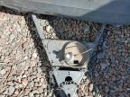 1957 Shas Travel Trl for Sale in Phoenix, AZ - Side