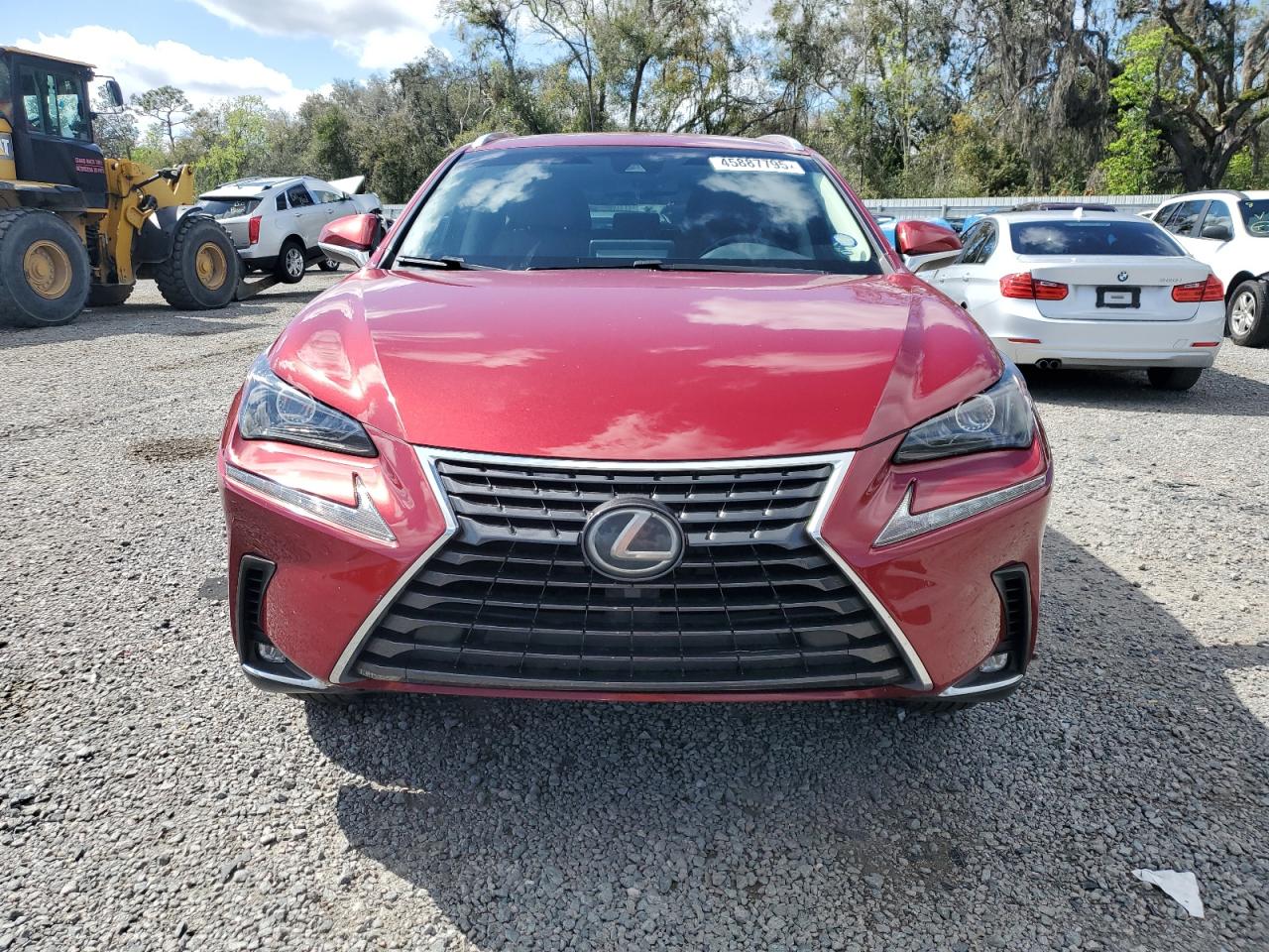 2019 Lexus NX - Image 5