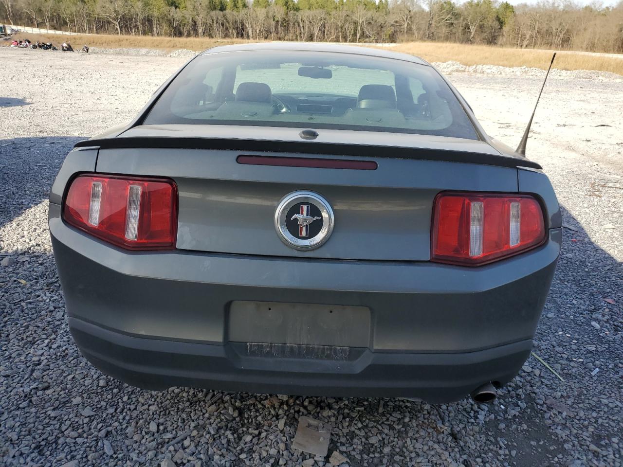 2010 Ford Mustang VIN: 1ZVBP8AN8A5131675 Lot: 45100495