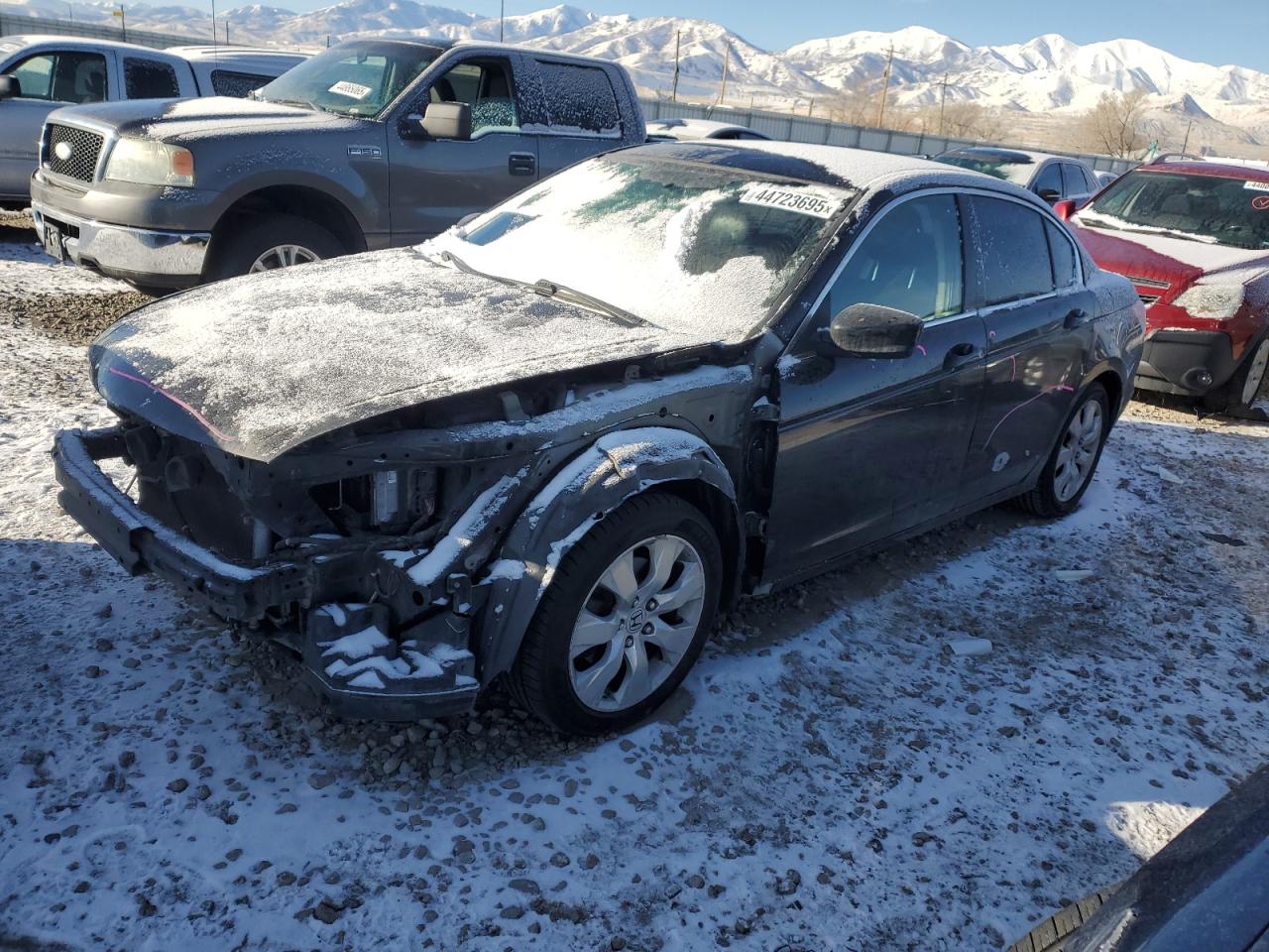 2010 Honda Accord - Image 1