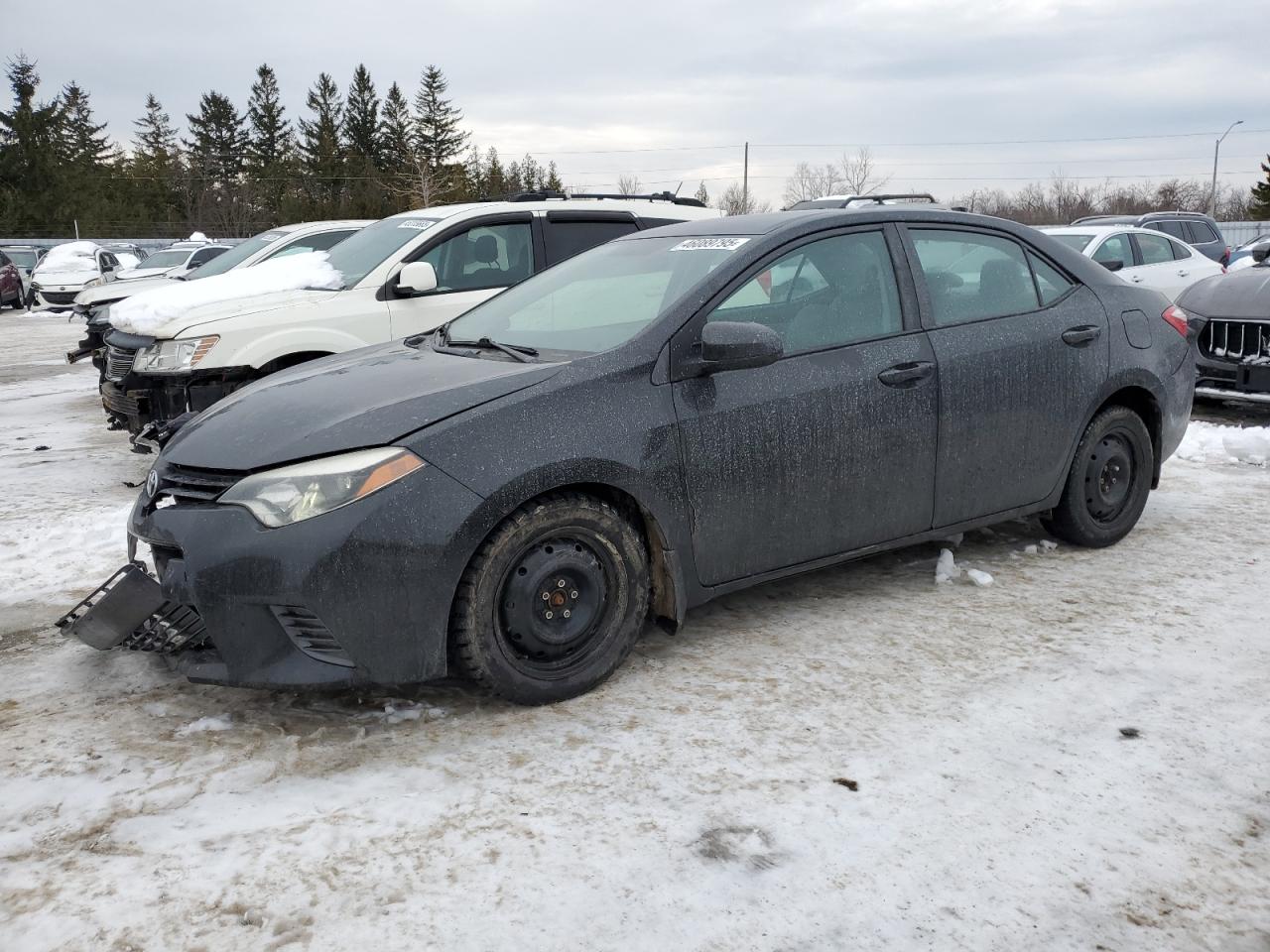 2016 Toyota Corolla - Image 1