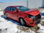 2019 Toyota Corolla L for Sale in Louisville, KY - Front End